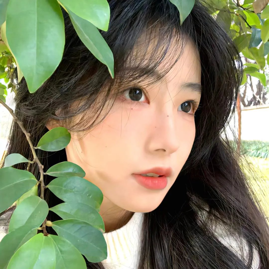 再见了！茱莉亚
